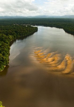 Река Ориноко (54 фото)