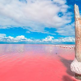 Розовое озеро в Крыму Сасык Сиваш (60 фото)