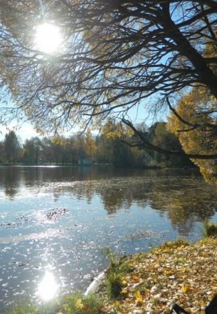 Озеро Сестрорецкий разлив (56 фото)