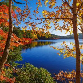 Осеннее озеро (56 фото)