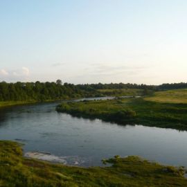 Река Шелонь (53 фото)
