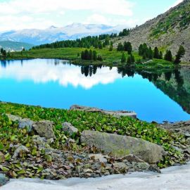 Манас озеро в Горном Алтае (60 фото)