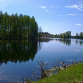 Озеро Молевое Килемарский район (59 фото)
