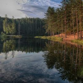 Озеро Лошево Бокситогорский район (58 фото)