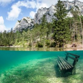 Зеленое озеро в Австрии (57 фото)