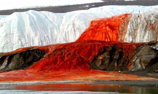 Красный водопад в Антарктиде (57 фото)