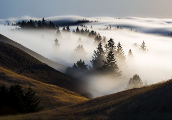 Пейзаж туман (58 фото)