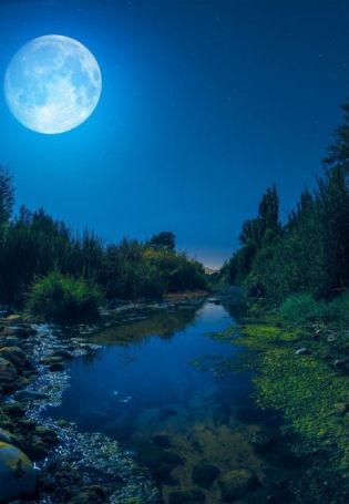 Ночной пейзаж с луной (59 фото)