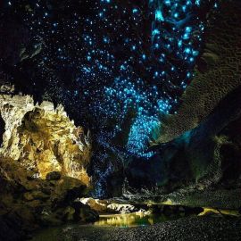 Пещеры Вайтомо новая Зеландия (58 фото)