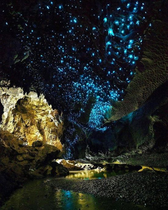 Пещеры Вайтомо новая Зеландия (58 фото)