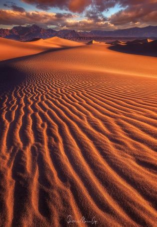 Пустыня сахара (58 фото)