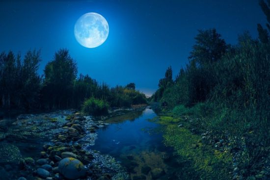 Пейзаж Лунная ночь (57 фото)