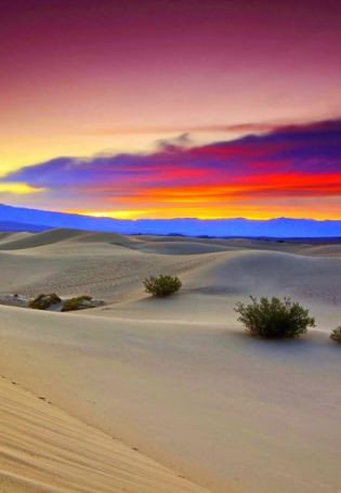 Пейзаж пустыни (57 фото)
