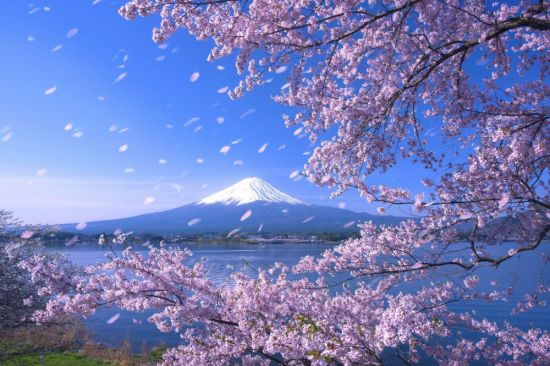 Красивые пейзажи Японии (49 фото)