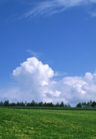 Небо без облаков (57 фото)