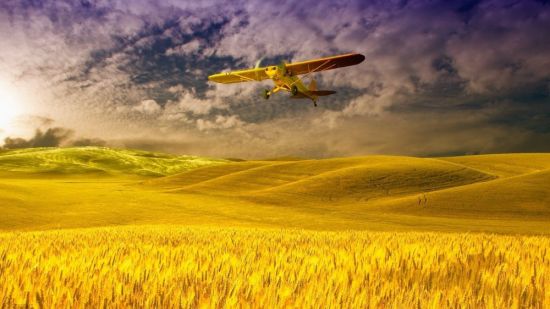 Кукурузник в небе (45 фото)