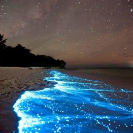 Звездное небо на Мальдивах (57 фото)