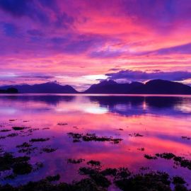 Пурпурное небо (56 фото)