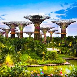 Сады у залива Сингапур (54 фото)