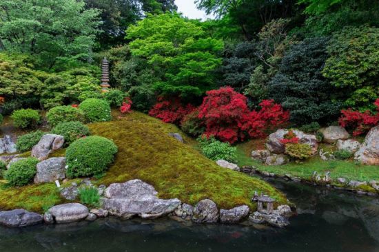 Японский сад своими руками (55 фото)