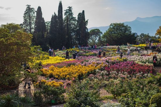 Парк Монтедор Никитского ботанического сада (56 фото)