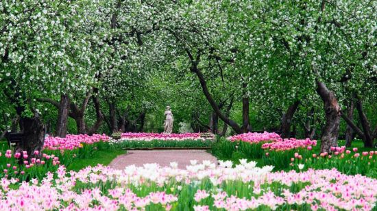 Коломенское Яблоневый сад (59 фото)