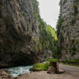Юпшарское ущелье Абхазия (59 фото)