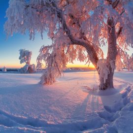 Красота природы зимой (58 фото)