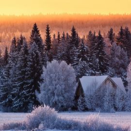 Пейзаж зима лес (58 фото)