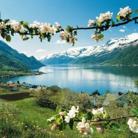 Весна в Норвегии (57 фото)