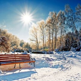 Зима в парках (51 фото)