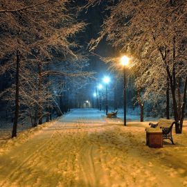 Зимний парк ночью (54 фото)