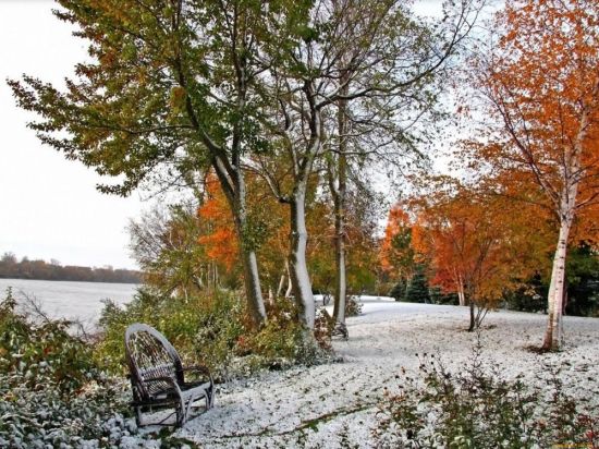 Поздняя осень начало зимы (55 фото)