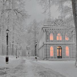 Усадьба Царицыно зимой (56 фото)