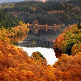 Красивая Золотая осень (58 фото)