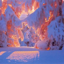 Зимний рай (56 фото)