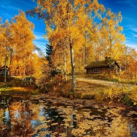 Красивая природа осенью (58 фото)