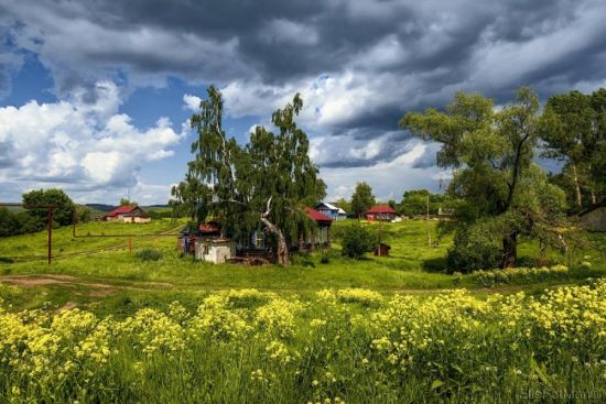 Деревня русская лето (60 фото)
