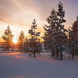 Коми зимой (59 фото)