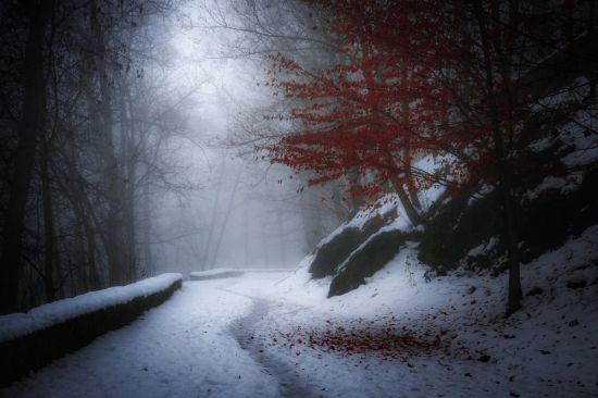 Хмурая зима (47 фото)