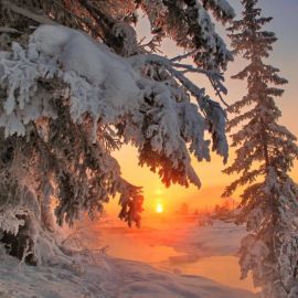 Сибирь Тайга зима (58 фото)