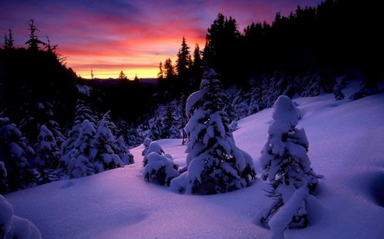 Природа зима ночь (54 фото)