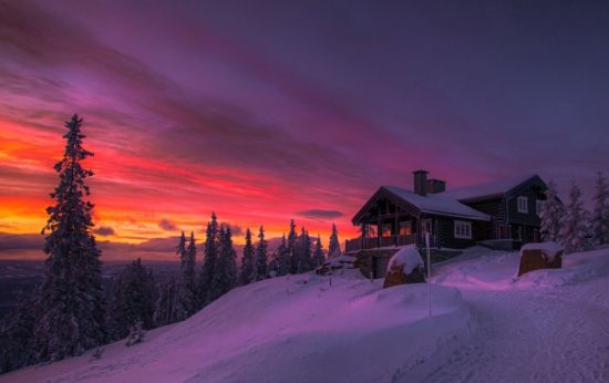 Леса Норвегии зимой (57 фото)