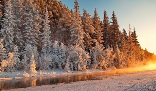 Сибирь зима лес (55 фото)