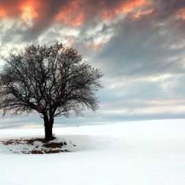 Одиночество зимой (44 фото)