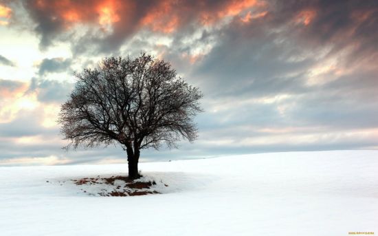 Одиночество зимой (44 фото)
