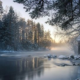 Лесная речка зимой (56 фото)