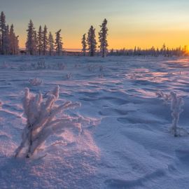 Природа Ямала зимой (58 фото)