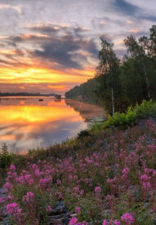 Красивая природа России (59 фото)