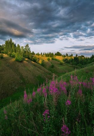 Природа Рязанского края (59 фото)